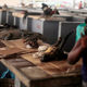 A woman sells crocodiles and pangolins at a food market in Bata, February 6, 2015.